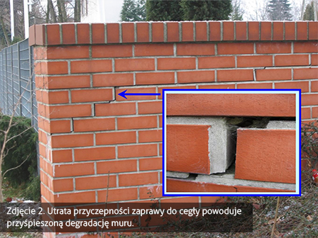 Odspojona zaprawa w murku z cegły – przyspieszona degradacja muru przez utratę przyczepności